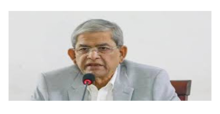 সরকারের মধ্যের একটা শক্তিই গণতন্ত্রের বিরুদ্ধে কাজ করছে: মির্জা ফখরুল