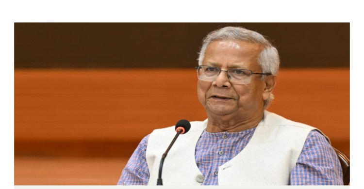 ফেব্রুয়ারির প্রথমার্ধেই নির্বাচনের মহোৎসব: প্রধান উপদেষ্টা