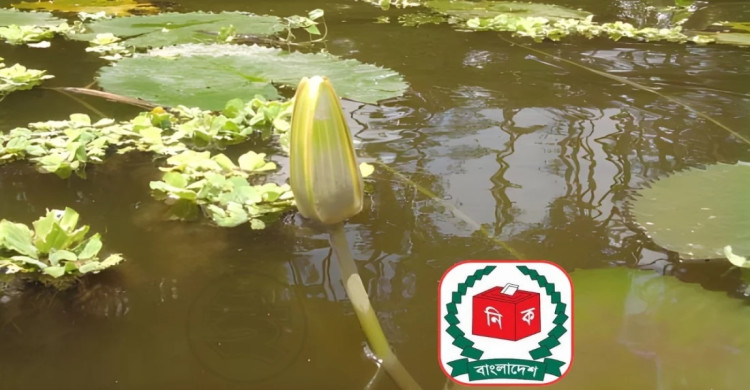 নির্বাচনি প্রতীকে যুক্ত হলো ‘শাপলা কলি’