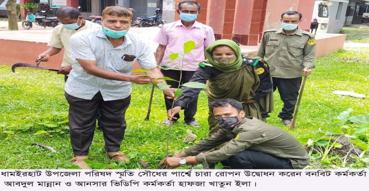মুজিববর্ষ উপলক্ষে ধামইরহাট আনসার ভিডিপি অফিসের বৃক্ষরোপণ