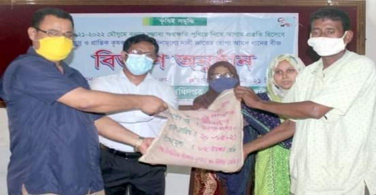 পলাশবাড়ীতে ক্ষুদ্র ও প্রান্তিক কৃষকদের মাঝে বিনামূল্যে ধান বীজ বিতরণ