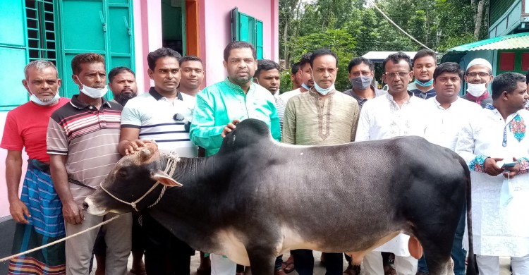১৩ বছর ধরে প্রধানমন্ত্রীর নামে কোরবানি দিচ্ছেন যুবলীগ নেতা সরোয়ার