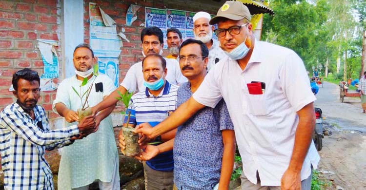 ধামইরহাটে পিড়লডাঙ্গা মোড়ে রোপিত হলো পিড়লের চারা