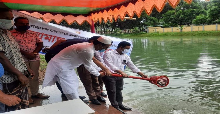 পত্নীতলায় জাতীয় মৎস্য সপ্তাহ উপলক্ষে পোনা মাছ অবমুক্তকরন
