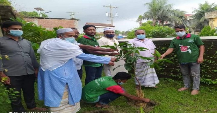 সাপাহারে প্রধানমন্ত্রী শেখ হাসিনার জন্মদিনে বৃক্ষরোপণ