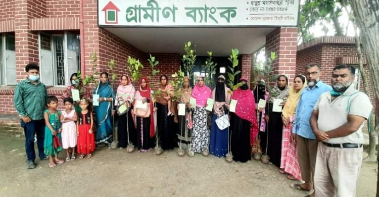 নওগাঁয় শেখ রাসেল দিবসে গ্রামীণ ব্যাংকের বৃক্ষ রোপণ কর্মসূচী