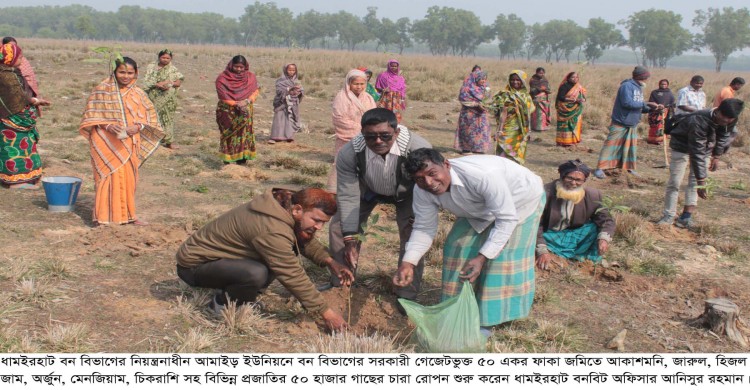 পড়ে থাকা দুর্গম এলাকার ৫০ একর ফাঁকা জমিতে বনায়ন করলেন ধামইরহাট বনবিভাগ