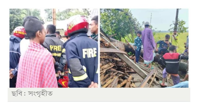 ঝড়ে গাছ উপড়ে পড়ল ঘরে, ঘুমের মধ্যেই প্রাণ গেল মা ও ২ মেয়ের
