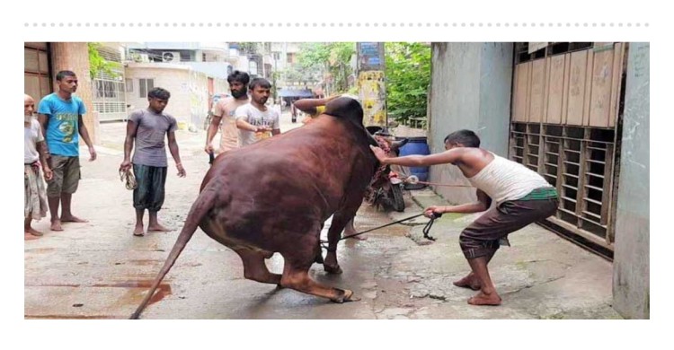 ঈদের দ্বিতীয় দিনেও চলছে পশু কুরবানি