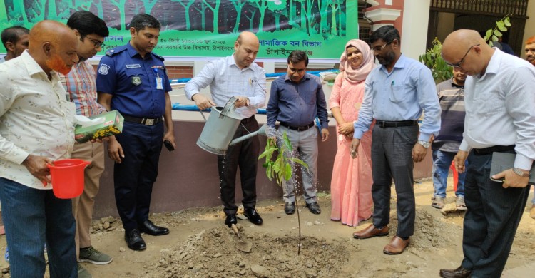 চাঁপাইনবাবগঞ্জে ৫ বছরে ২৫ কোটি বৃক্ষরোপণ কর্মসূচির শুভ উদ্বোধন করেন --------ডিসি আবু ছালেহ মোঃ মুসা জঙ্গী