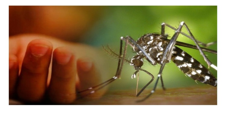 ২৪ ঘণ্টায় ডেঙ্গুতে ৫ জনের প্রাণহানি